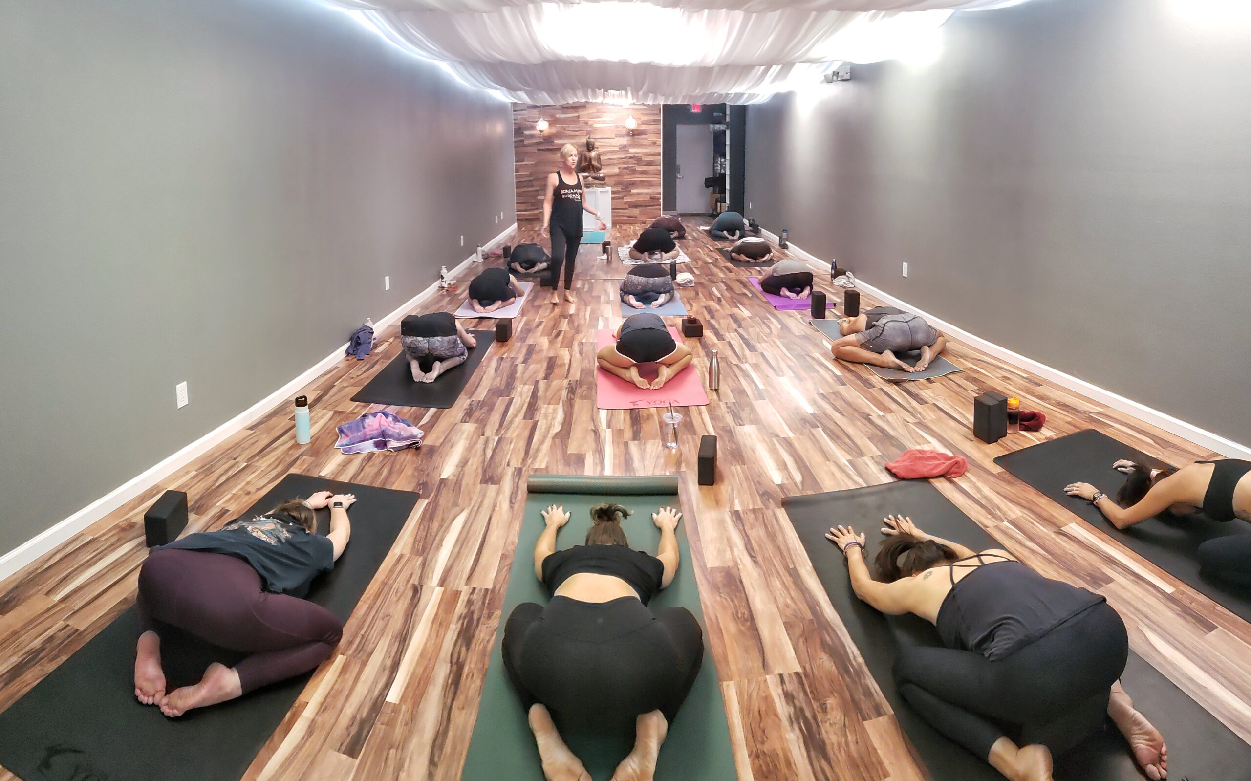 Screaming Buddha Yoga Studio Bradenton, FL Hot Power Yoga Bradenton, FL